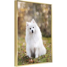 Custom Canvas Prints With Your Photos for Pet Family Photo Prints Personalized Canvas Aluminum Alloy Framed Wall Art (gold: 8*10)